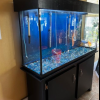 Aquarium offer Home and Furnitures