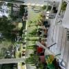 Friendship Cacti and potted Plants, Labor Day Weekend, 9 to5. offer Lawn and Garden