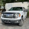 2009 Ford F150