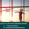 Does Delta allow unaccompanied minors? offer Legal Services