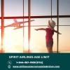 Spirit Airlines Age Limit