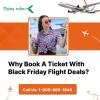 Why Book A Ticket With Black Friday Flight Deals? offer Web Services