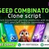 Seed Combinator Clone Script: Low-Cost Solution for Tap-to-Earn Games offer Web Services