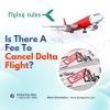 Is There A Fee To Cancel Delta Flight? offer Service Wanted