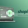 Professional Shopify Website Development offer Professional Services