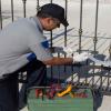 Your Go-To Gate Repair Company in Los Angeles | Affordable & Fast offer Home Services