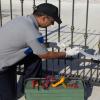 Fast Gate Repair Services in Miami offer Home Services