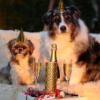 How to Restart New Year's Resolutions offer Classes
