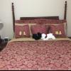 Bedroom set offer Home and Furnitures