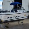 Bayliner Trophy 2002 20ft Boat, Yamaha F175XA, double axle bump brake trailer offer Items For Sale