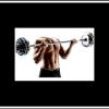 New Weightlifting Exercise Fitness Barbell Bar 7 FT, 350 lbs - $125 (Indianapolis) offer Sporting Goods