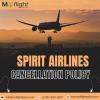 Your Guide to Spirit Airlines Cancellation Policy: Easy Steps and Fees offer Web Services Your Guide to Spirit Airlines Cancellation Policy: Easy Steps and Fees offer Web Services