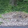 Free mulch offer Lawn and Garden