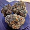 Cannabis Research Store