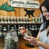 The Future Of Cannabis.Today offer Classes