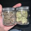 The Future Of Cannabis.Today