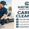 Hayward Carpet Cleaning offer Home Services