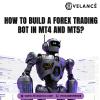 Advanced Forex Trading Bot Development for MT4 & MT5 offer Web Services