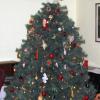 Big 7 ft BLUE SPRUCE ChristmasTree Artificial offer Home and Furnitures