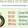 Zebra Carpet Cleaning League City TX offer Cleaning Services