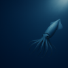 Squid Digital