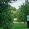 Edwardsville Garden Club - Program - THE GIVING GROVE: Little Orchards. Big Impact. - June 13, 2026 offer Events
