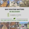 Why Routine Matters in Recovery offer Service